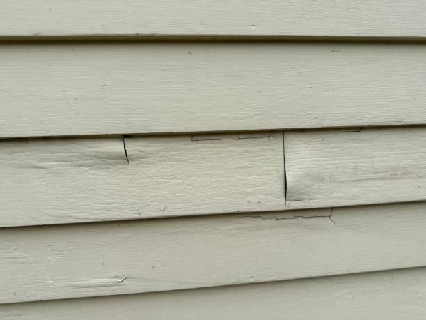 Best Composite Siding  in Lonaconing, MD